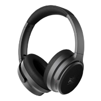 Kiwi Ears Ardor